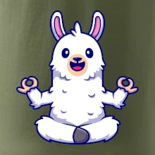 Yoga meditace - lama