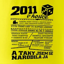 2011 v kostce