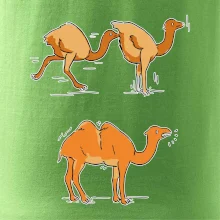 Pravda o velbloudech