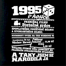 1995 v kostce