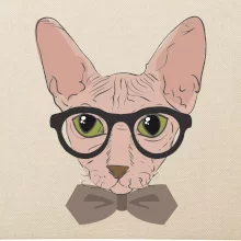 Hipster sphynx