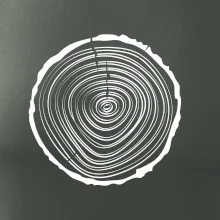 Letokruhy 20 bez věku