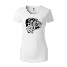 Ping pong pálky a síť