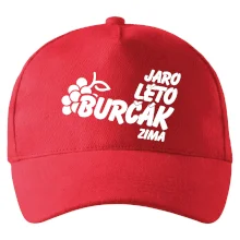 Jaro, léto, burčák, zima