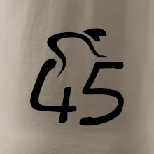 Cyklista slaví pětačtyřicítku (45)