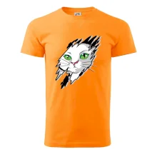 Kočka v roztrženém triku