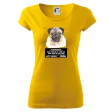 Lump a darebák mopsík