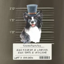 Lump a darebák border kolie