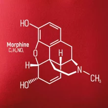 Molekulární struktura Morfin