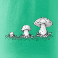 Životní cyklus hřibu