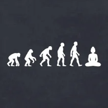 Evoluce budha