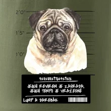 Lump a darebák mopsík