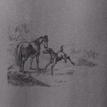 Kůň a hříbě malované