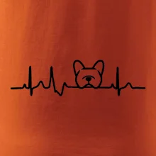 EKG Francouzský buldoček hlava