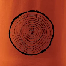 Letokruhy 20 bez věku