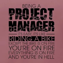 Being A Project Manager - bike