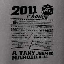 2011 v kostce