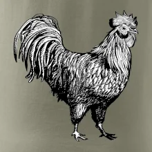 Kohout kreslený černobílý