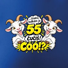 Těmhle holkám je 55, čučíš co?