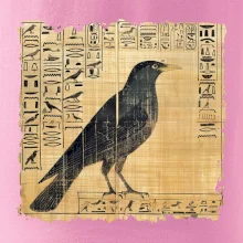 Egyptské hieroglyfy pták