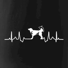 Český strakatý pes EKG