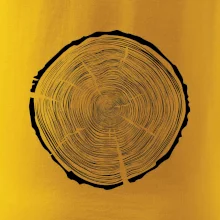 Letokruhy 95 bez věku