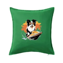 Border Kolie na vodním skútru