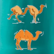 Pravda o velbloudech