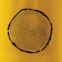 Letokruhy 45 bez věku