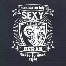 Nesnáším být tak skvělý - Beran