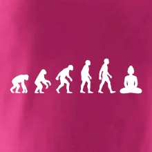 Evoluce budha