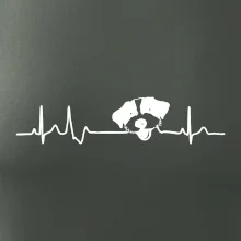 Jack Russell Terriér hrubosrstý Ekg