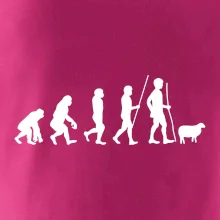 Evoluce pastevec ovcí