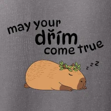 May your dřím come true May your dřím come true