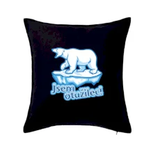 Jsem otužilec - medvěd