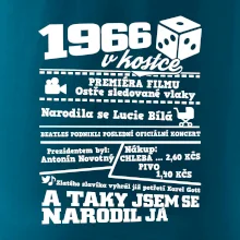 1966 v kostce