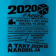 2020 v kostce