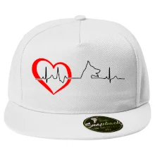 Německý ovčák ekg