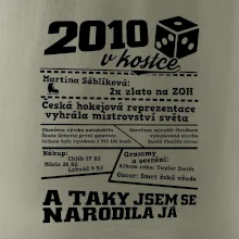 2010 v kostce