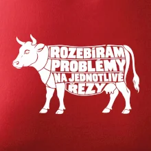 Rozebírám problémy na jednotlivé řezy