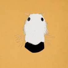 Barzoj čumák (Moňas)