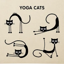 Kočičí jóga (Hana-creative)