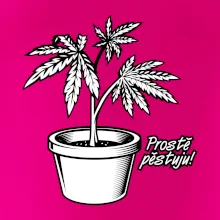 Konopi prostě pěstuju