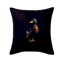 Kachna stojící černá fotka