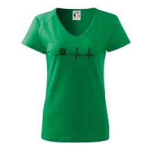 Veterinář EKG Veterinář EKG