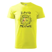David Meowie