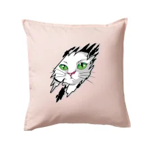 Kočka v roztrženém triku