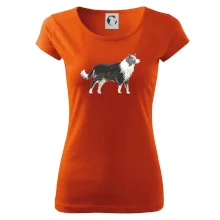 Border kolie kreslená