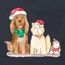 Veselé vánoce - pes, křeček a kočka