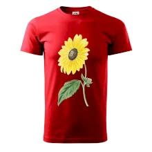 Slunečnice otočená